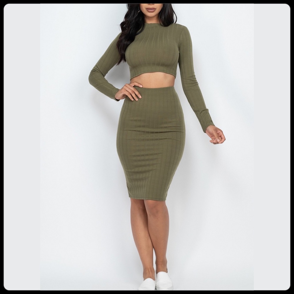 NWT Crop top and skirt set